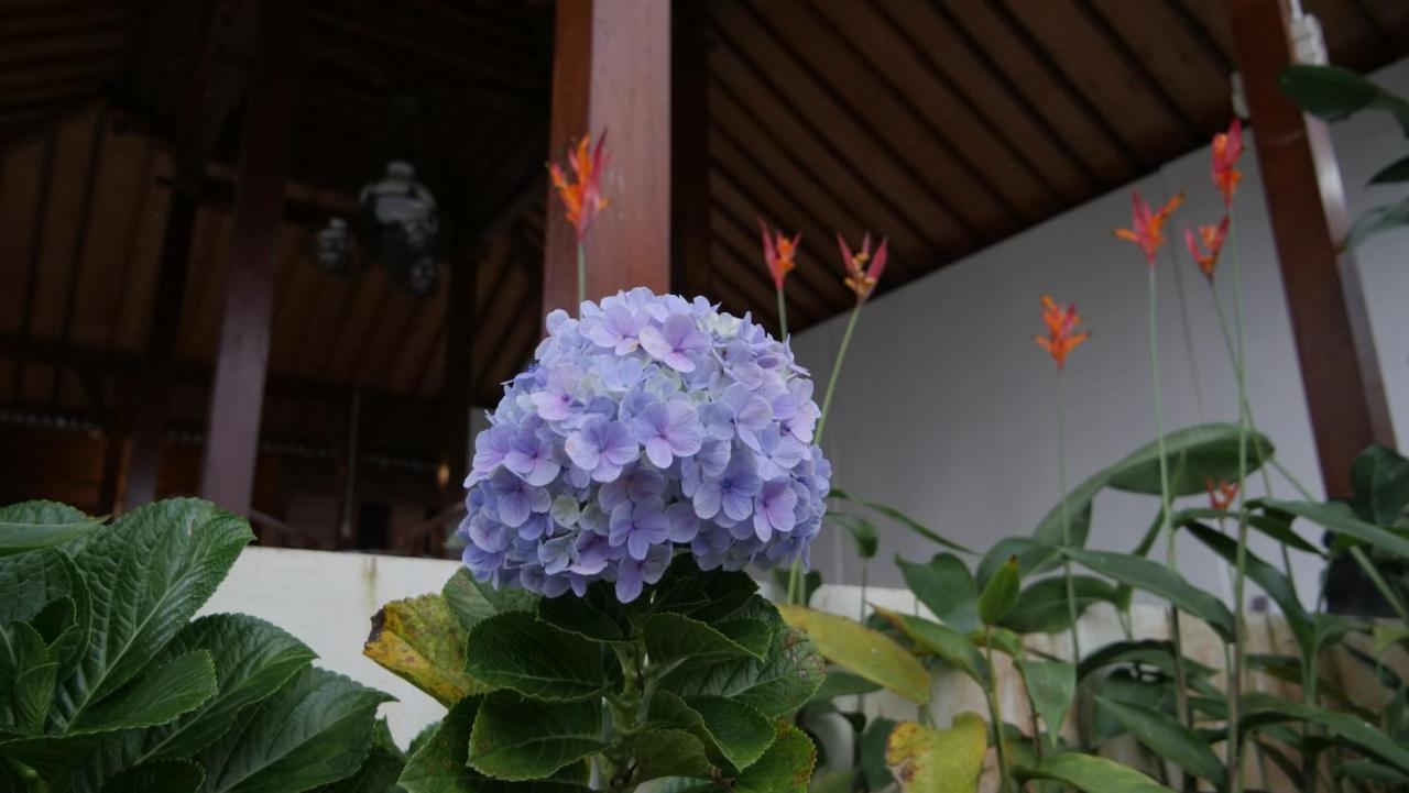 Sanggar Pantcha Indra Guest House Kemuning Bagian luar foto